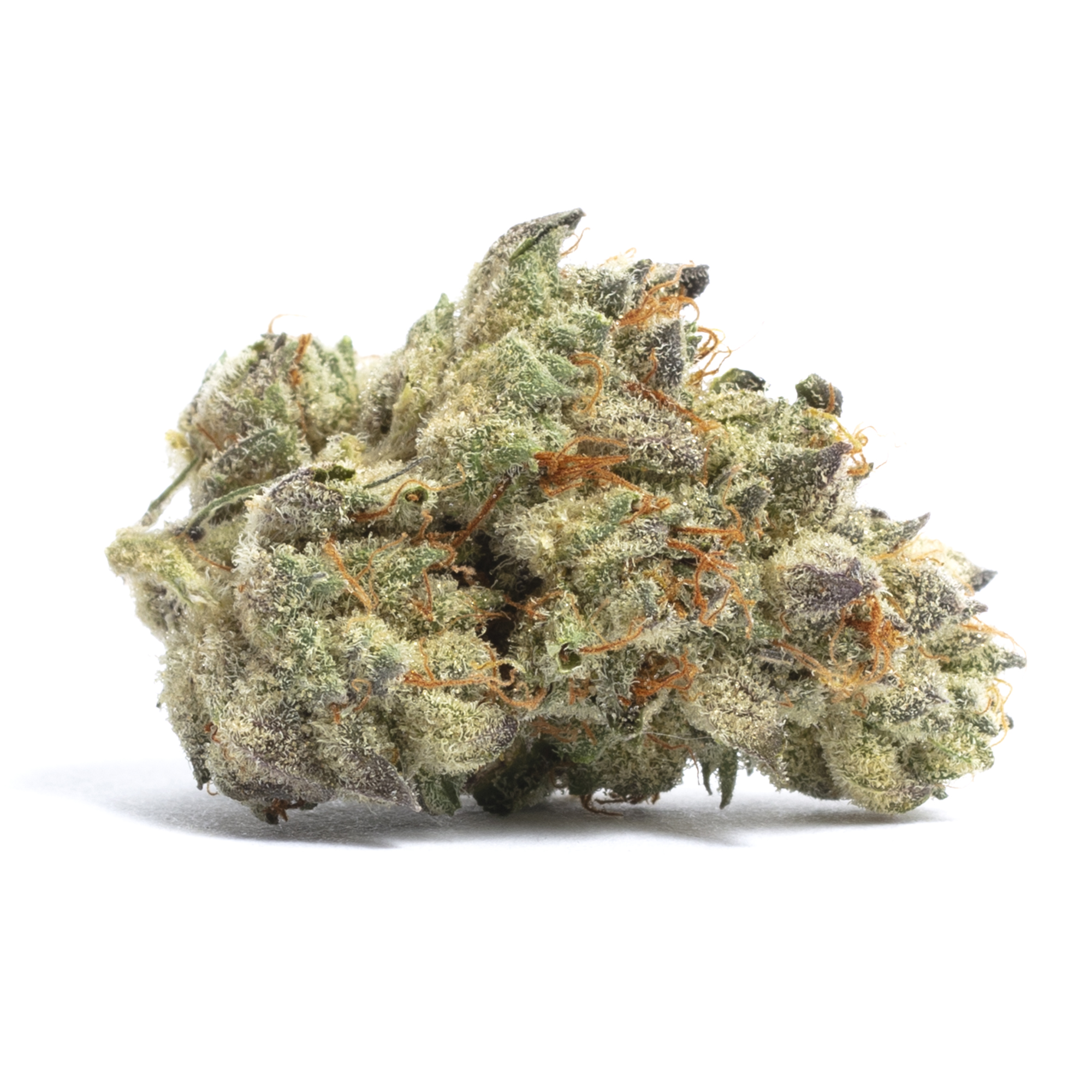 Foto de la variedad Cookies Cream